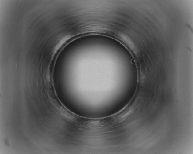 X0000097850883200803141215