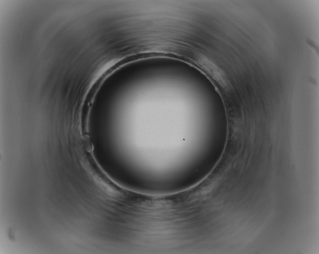 X0000097850884200803141215