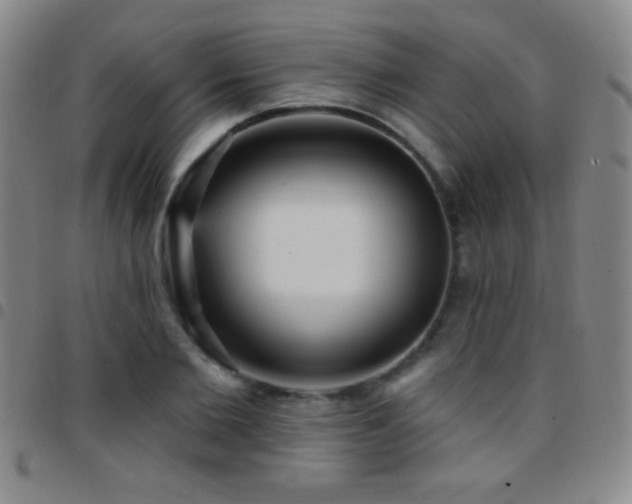 X0000097850885200803141215