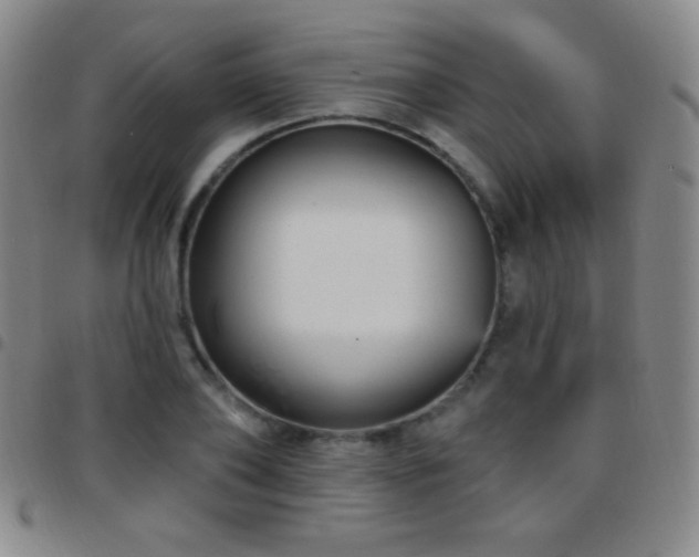 X0000097850886200803141215
