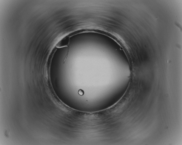 X0000097850887200803141215