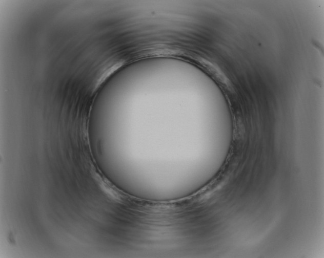 X0000097850889200803141215