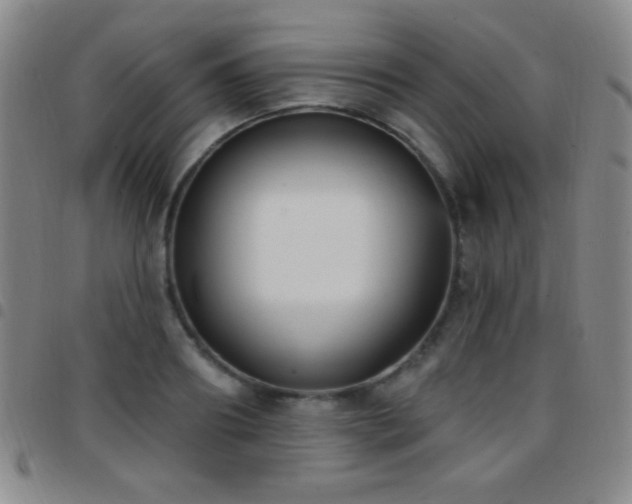 X0000097850890200803141215