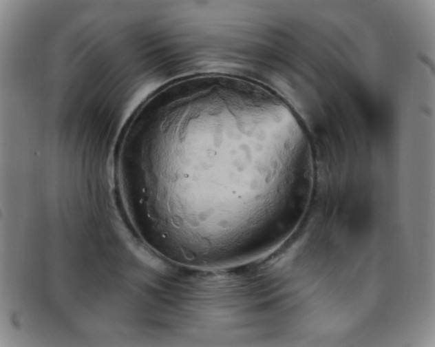 X0000097850891200803141215