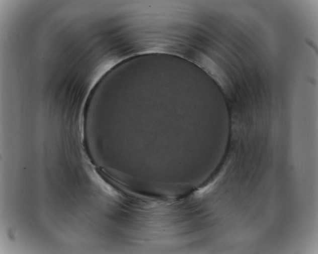 X0000097850892200803141215