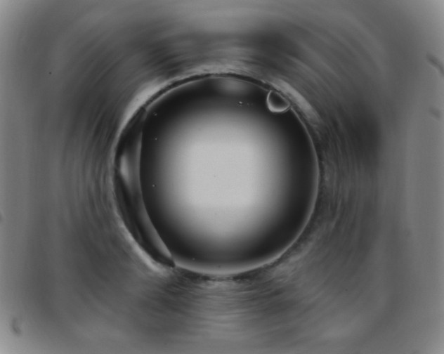 X0000097850894200803141215