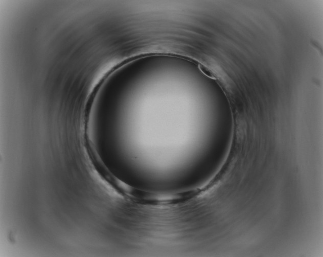X0000097850896200803141215