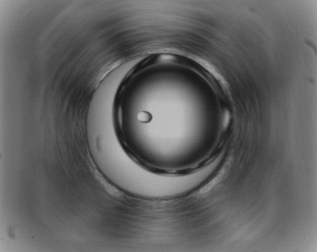 X0000097850897200803141214