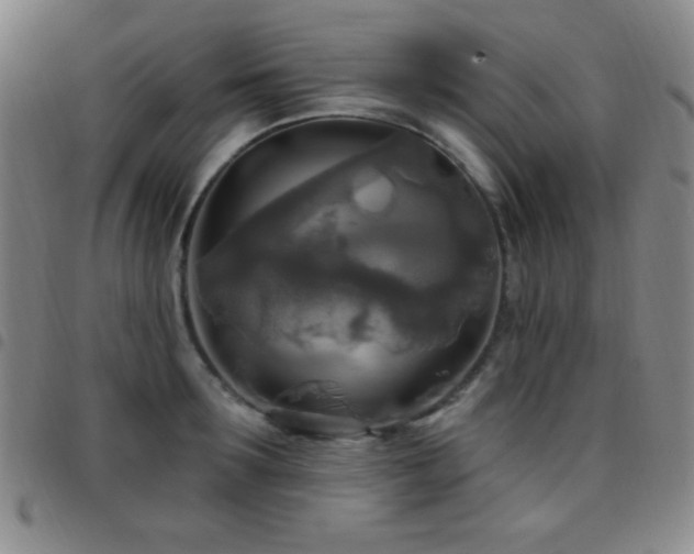 X0000097850899200803141214