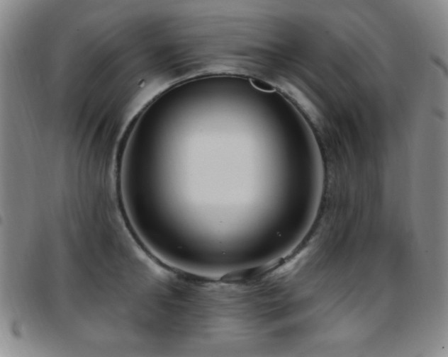 X0000097850902200803141214