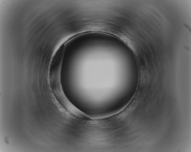 X0000097850904200803141214