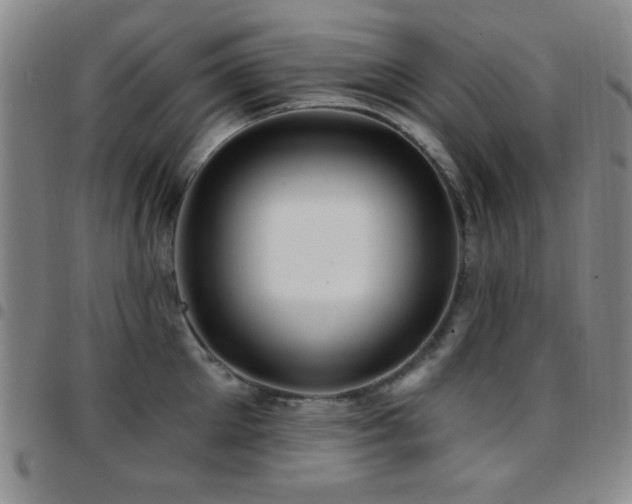 X0000097850905200803141214