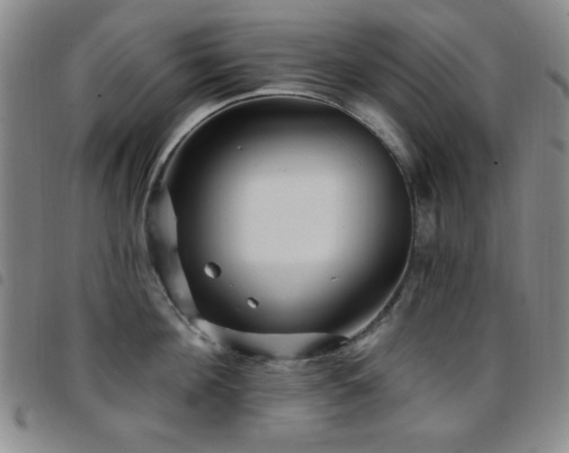 X0000097850908200803141214