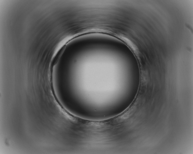 X0000097850910200803141214