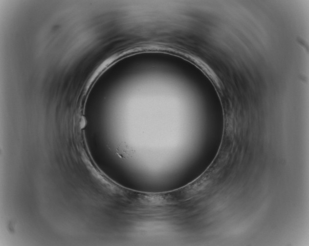 X0000097850911200803141214