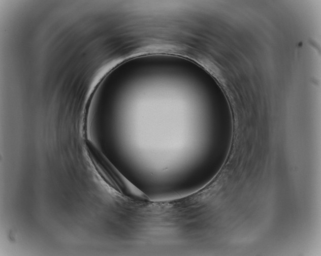 X0000097850912200803141214