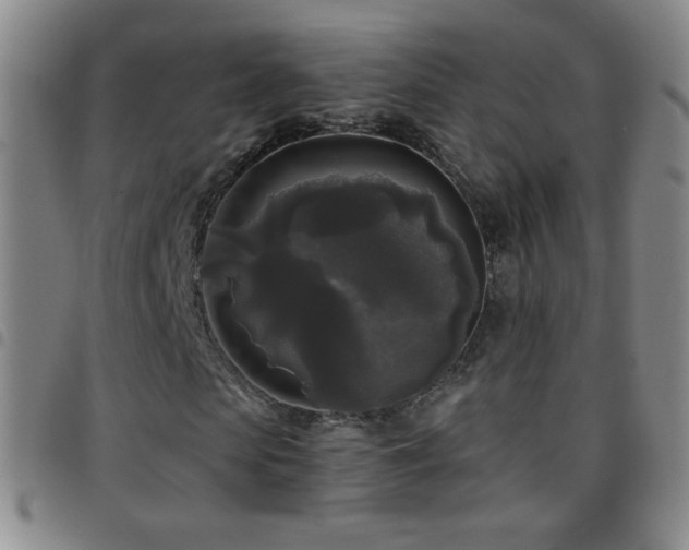 X0000097850913200803141214