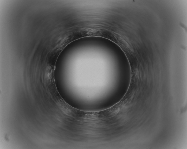 X0000097850914200803141214