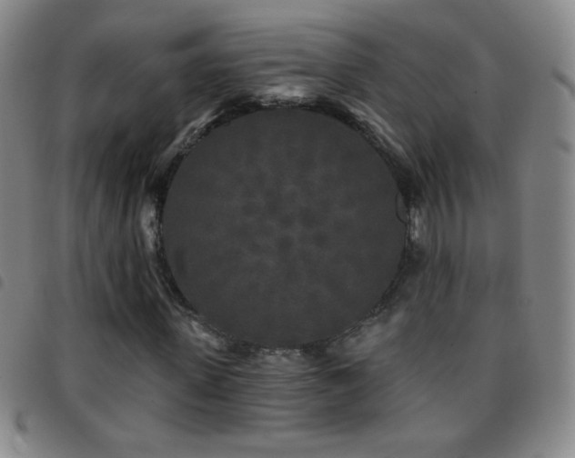 X0000097850915200803141214