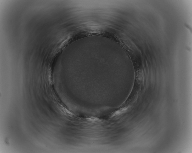 X0000097850916200803141214