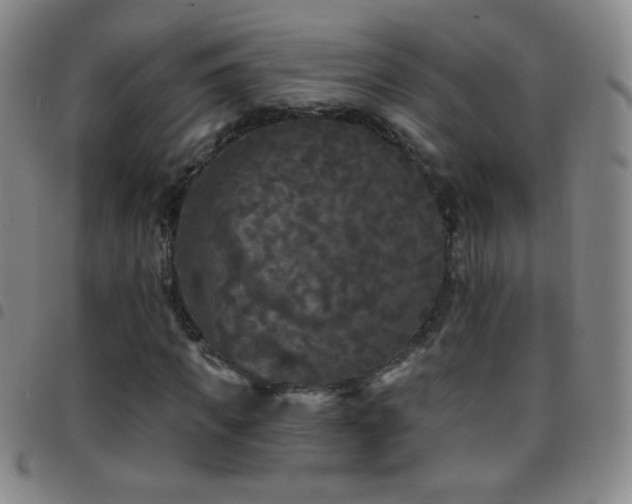 X0000097850917200803141214