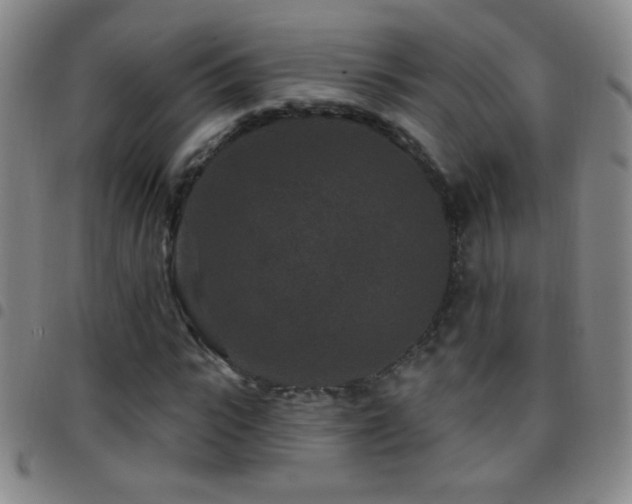 X0000097850919200803141214