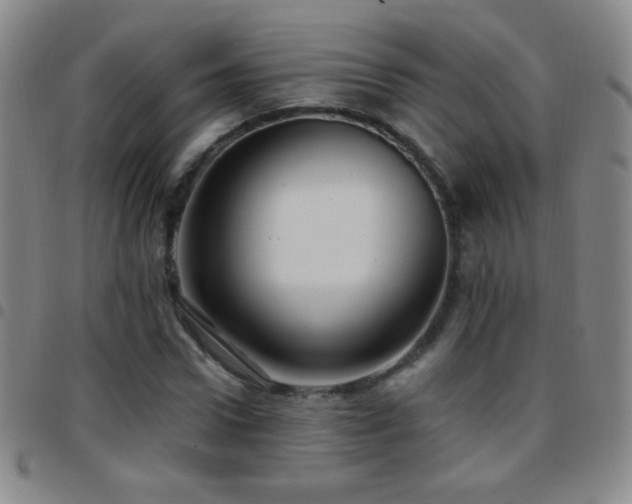 X0000097850922200803141214