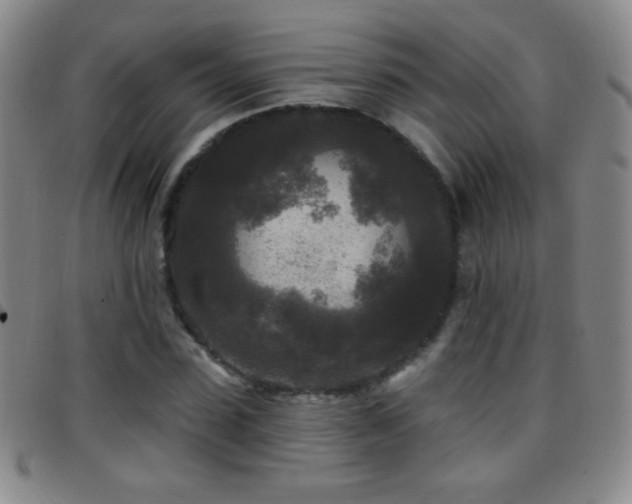 X0000097850923200803141214