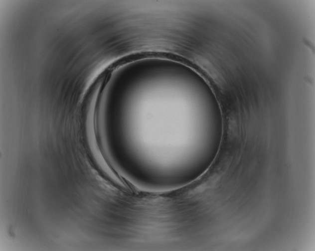 X0000097850926200803141214