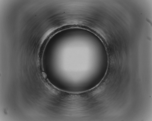 X0000097850927200803141214