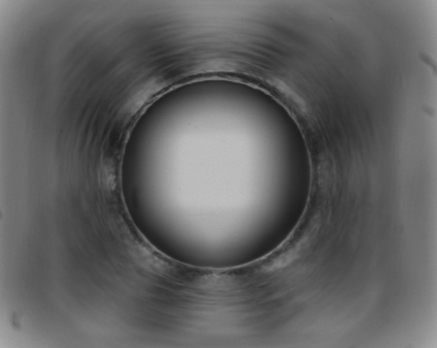 X0000097850929200803141214