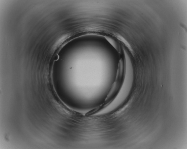 X0000097850930200803141214