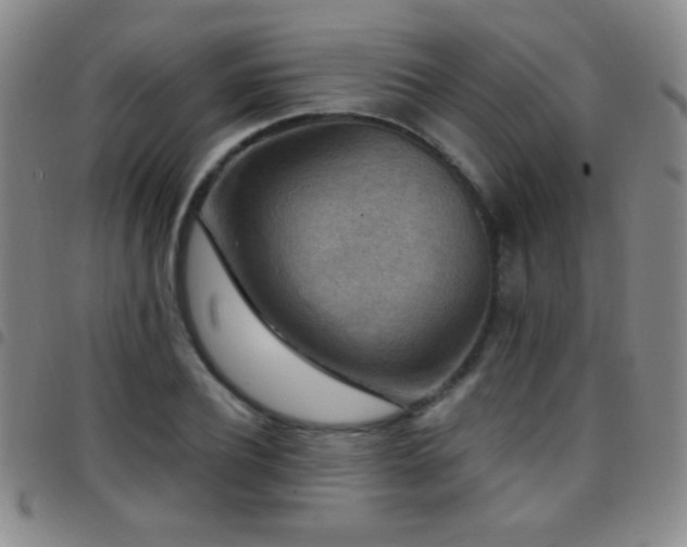 X0000097850932200803141214