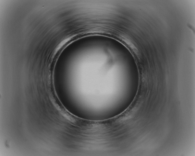 X0000097850933200803141214