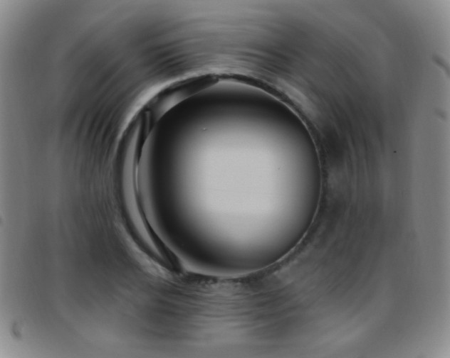 X0000097850934200803141214