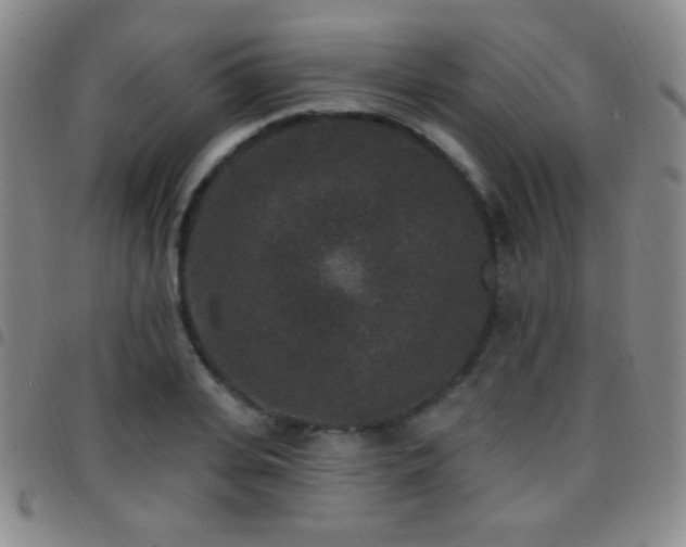X0000097850935200803141214