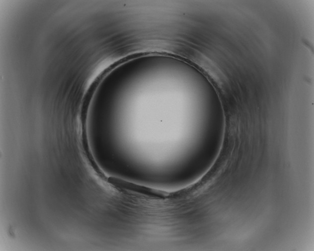 X0000097850936200803141214