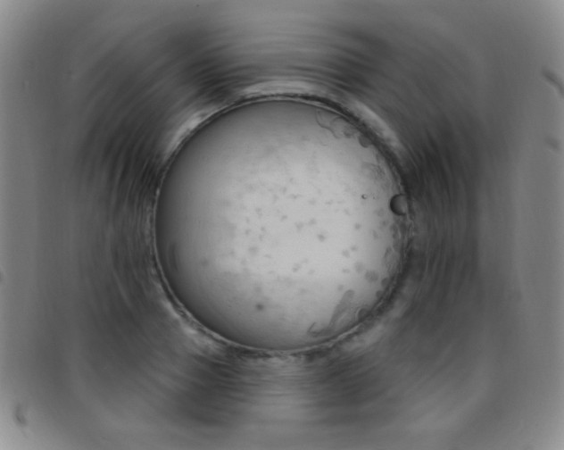 X0000097850937200803141214