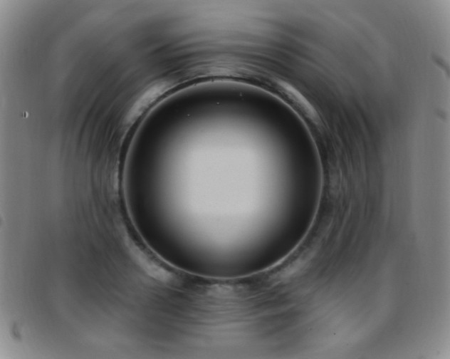 X0000097850938200803141214