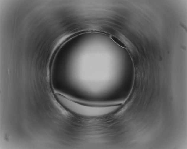 X0000097850940200803141214