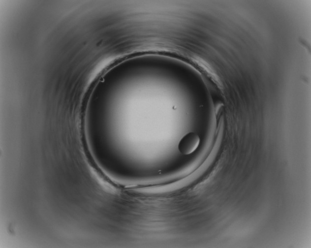 X0000097850942200803141214