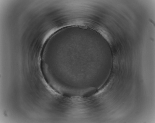 X0000097850944200803141214