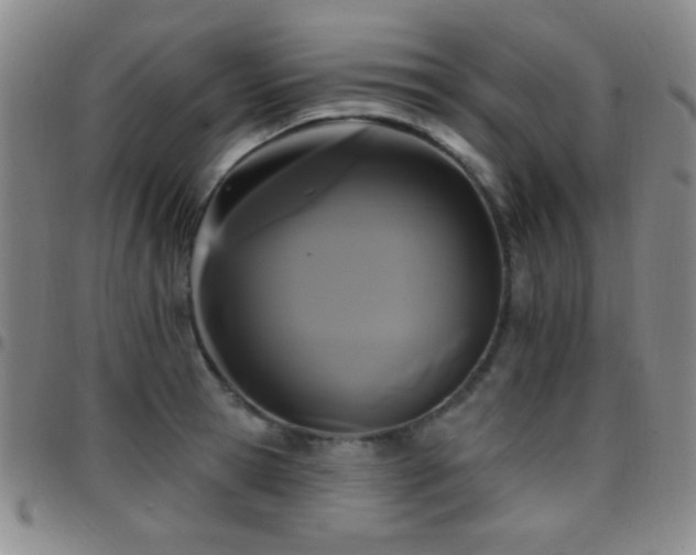 X0000097850945200803141214