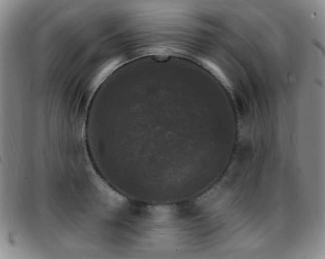 X0000097850946200803141214