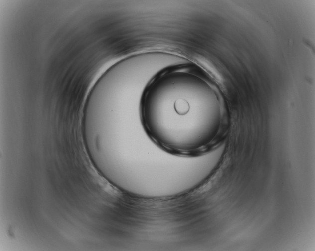 X0000097850948200803141214