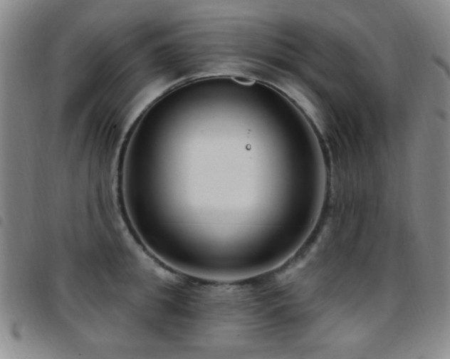 X0000097850949200803141214
