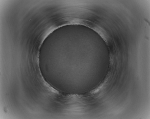 X0000097850950200803141214