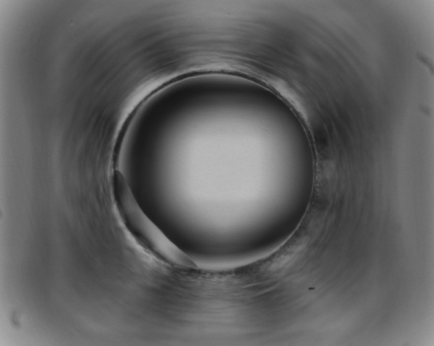X0000097850951200803141214