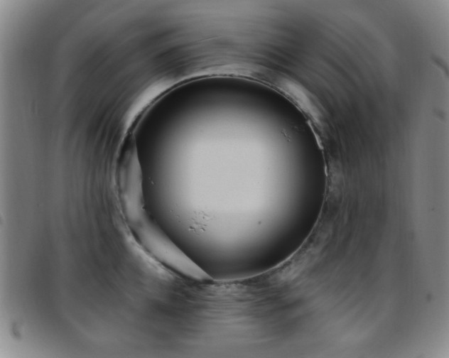 X0000097850952200803141214