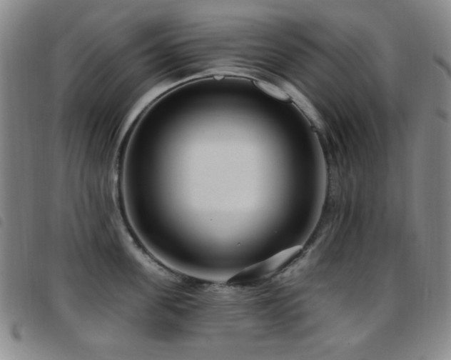 X0000097850955200803141214